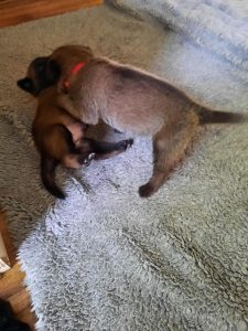 449359684 8444671985562871 6234168256912805653 n