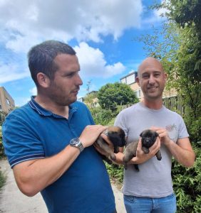 449368032 8448615551835181 3533379162619514318 n