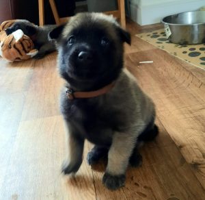 449847366 8489066214456781 2259468379423855744 n