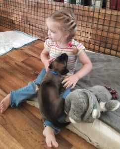 449936078 8489069211123148 5536300503558550996 n