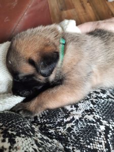 449938018 8489063711123698 8551464868904102432 n