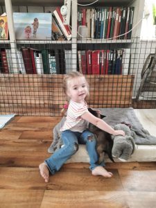 449938156 8489068947789841 2560497073264840954 n