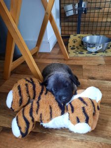 450073342 8489064551123614 2236599720491169909 n