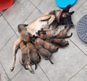 450077292 8498546083508794 7342237131552366256 n