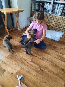 450086209 8489067204456682 4166380986989894096 n