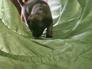 450092598 8489065447790191 4260099164552816557 n