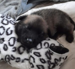 450094870 8489067771123292 8913013752407685912 n