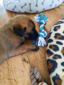 450103559 8489064837790252 2532241785243337908 n