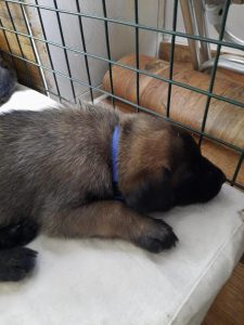 450130741 8489063997790336 1503953408380804729 n