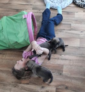 450185652 8489069987789737 3206041737819714928 n