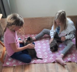 450192223 8489066437790092 1633293323397068857 n