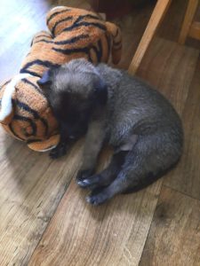 450207053 8489063344457068 1961751281686657208 n