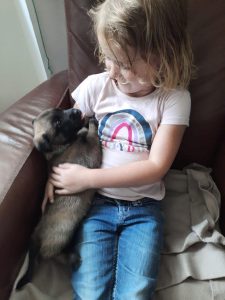 450212346 8489066917790044 5161731064480729646 n