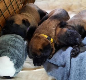 450215419 8489065081123561 8336249815034870302 n