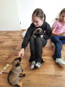 450215968 8489068147789921 1466123896796736783 n