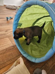 450227670 8489065574456845 5722615534994672962 n