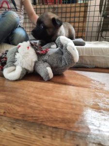 450227964 8489067531123316 7116349302963945950 n