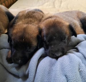 450292992 8489065997790136 1521679148099358504 n