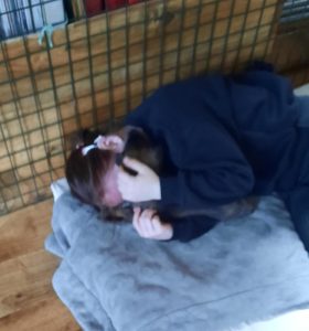 450314450 8489066617790074 4509114201722046280 n