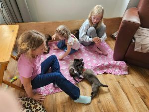 450315515 8489065697790166 2884305424677438949 n