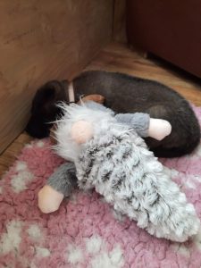 450317128 8489064241123645 760803527526452061 n