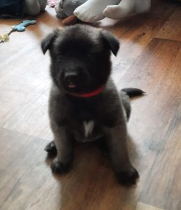 450318132 8489067907789945 7151316577222598972 n