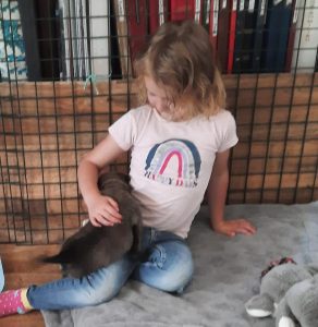 450347283 8489070121123057 2946171736690804153 n