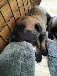 450354416 8489065314456871 5708666066524330117 n