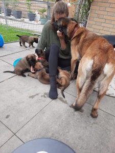 450368340 8503927986303937 3206284805938235477 n