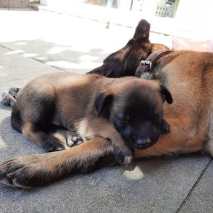 450546089 8506020959427973 1897732949542593867 n