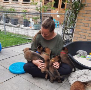 450610082 8503928339637235 76330204823891595 n