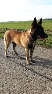 45257875 2252448568162801 8738821170914131968 n