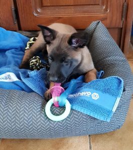 453190408 8460463777319696 8292732563972178629 n