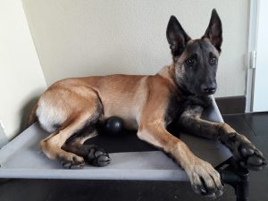 45320883 567621567002504 3736593424074145792 o