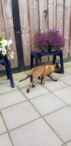 453266760 8460464173986323 778628301990972438 n