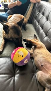 453775948 10232088408302782 4300969594615225446 n (1)