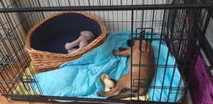 454209767 26055039407473623 8963344714633713428 n (1)