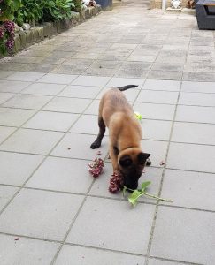 455003534 8568964673136272 198627858830158718 n