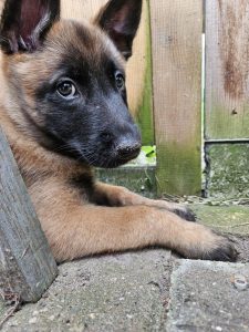 455251931 10232219742666059 3659695080705279030 n (1)