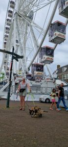 455325481 8710824828947584 817939011738194309 n