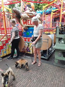 455342768 8710825385614195 5856149809519380367 n