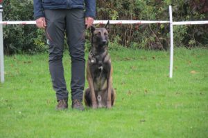 46102199 1796393670471761 8347409501170696192 o