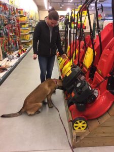 46368197 289388095016676 3507121589260910592 n