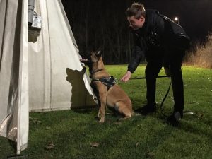 46403315 575765796188081 203343723390566400 o