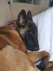 46482324 1994387477310824 4894639709428383744 n 1