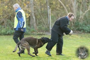 46641753 2322710894425708 3891851879029669888 o