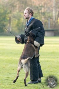 46684426 2322710601092404 2128496830239997952 n