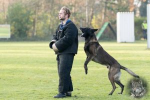 46720497 2322710624425735 880954086545948672 o