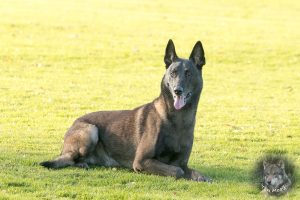 46731104 2322710751092389 2323657584369729536 o