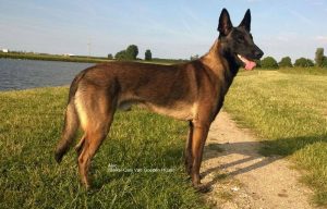 46753117 2321043324592465 4443900698647592960 n